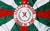 Divulga��o